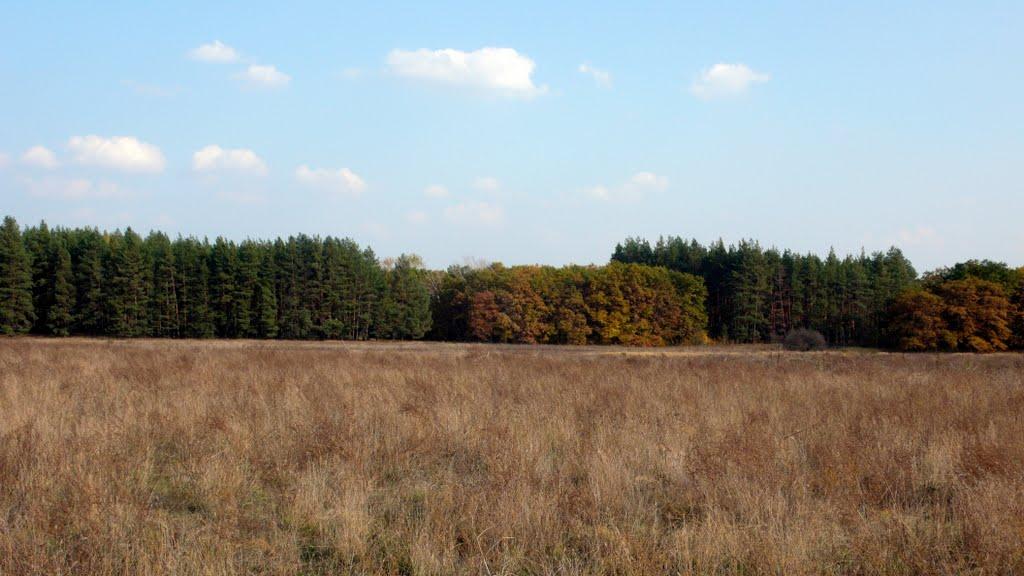 Букине з panoramio.com - Букино