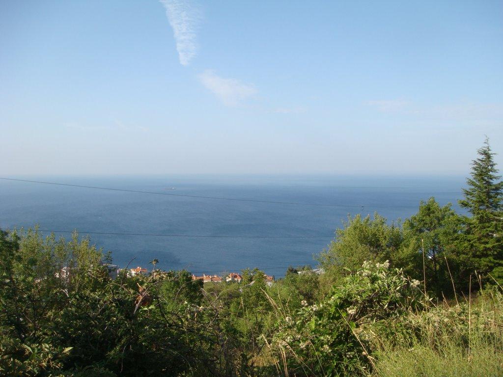 Санаторне з panoramio.com - Санаторное