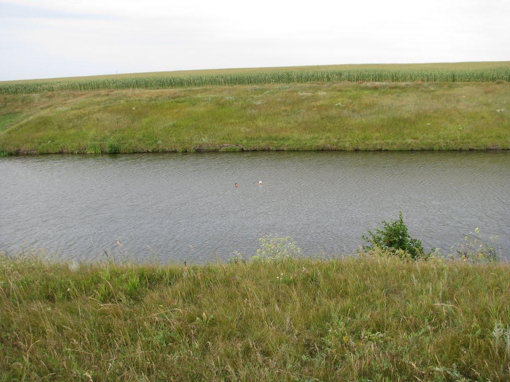 Губське з panoramio.com - Губське