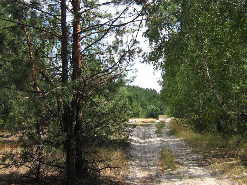 Діброво-Ленінське з panoramio.com - Діброво-Ленінське