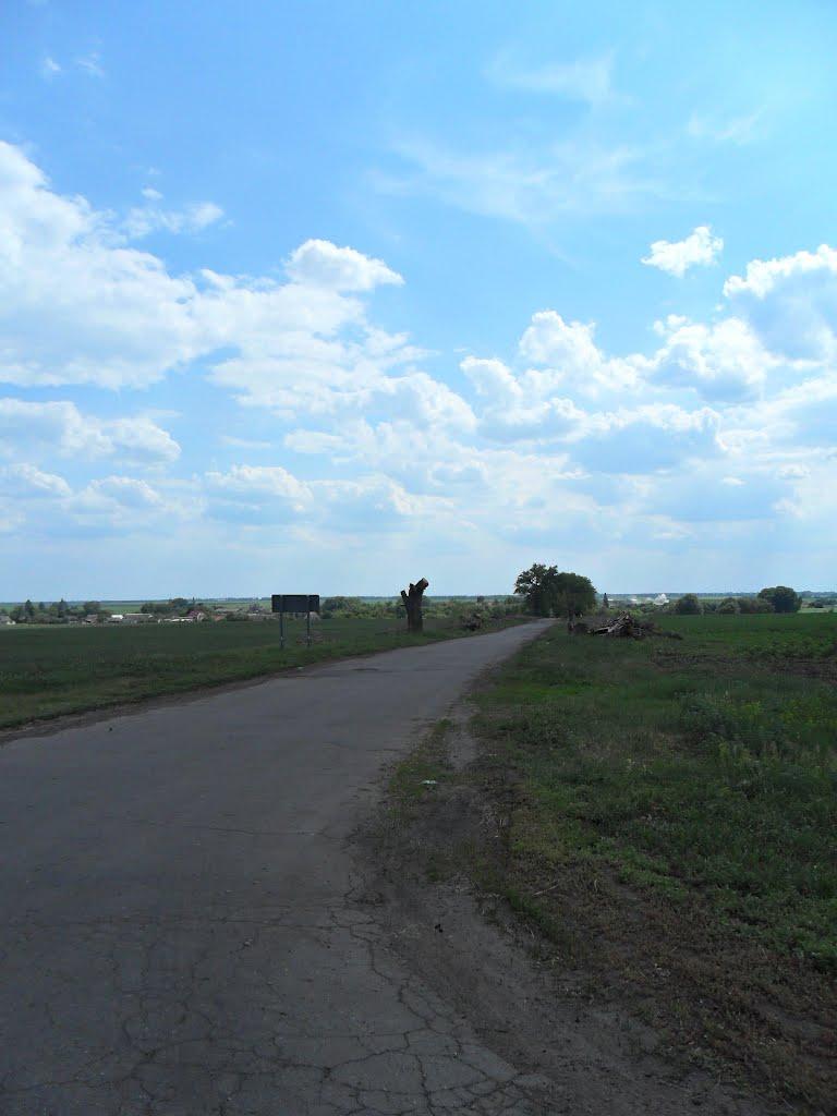 Веселий Гай з panoramio.com - Веселий Гай