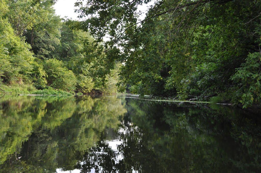 Лутище з panoramio.com - Лутище