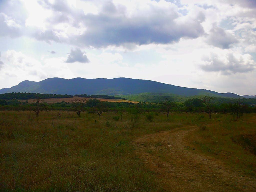 Голубинка з panoramio.com - Голубинка
