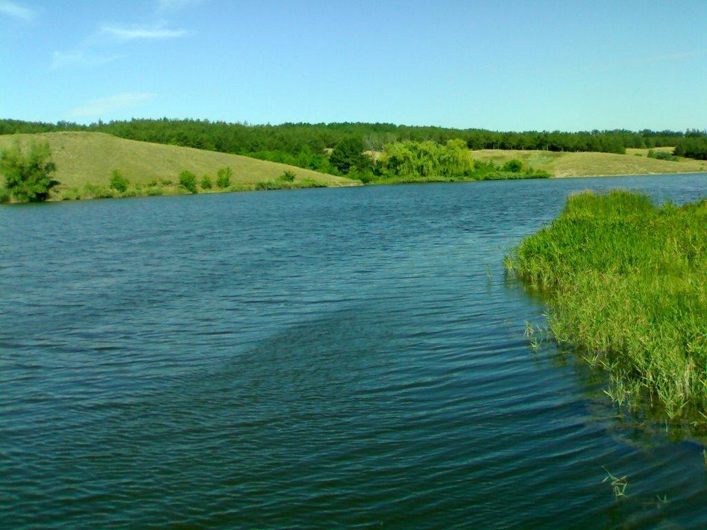 Федорівка з panoramio.com - Fedorivka