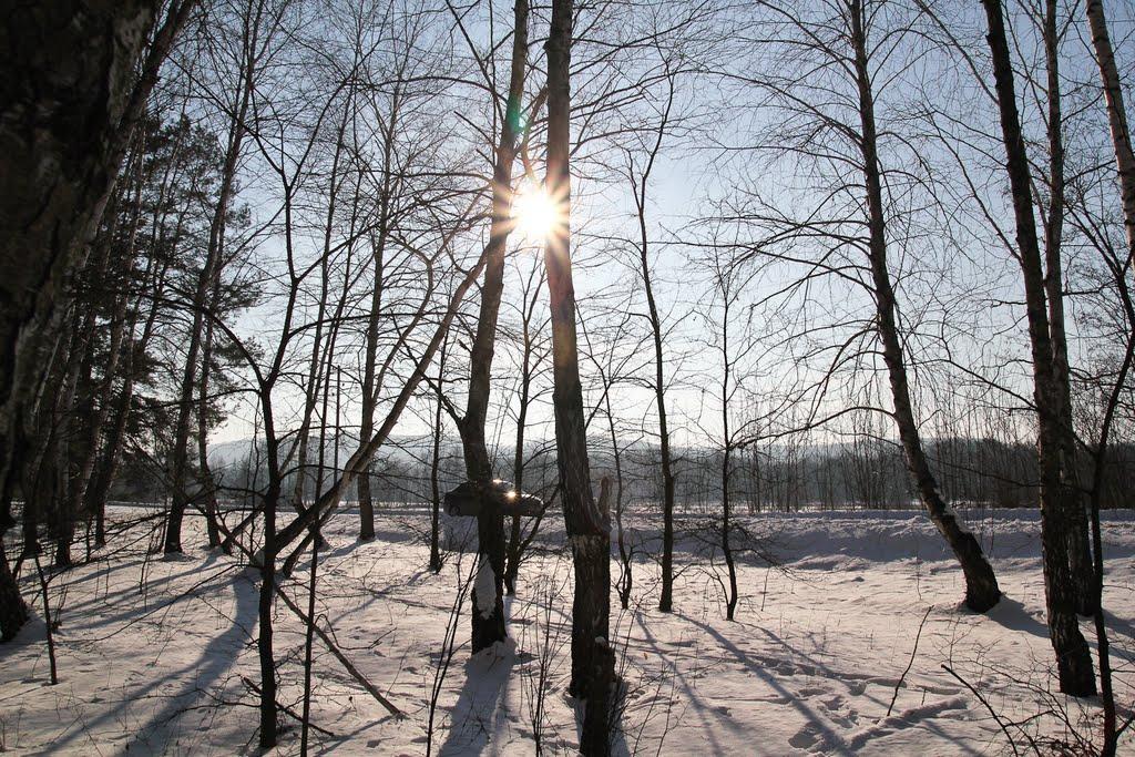 Задонецьке з panoramio.com - Задонецкое