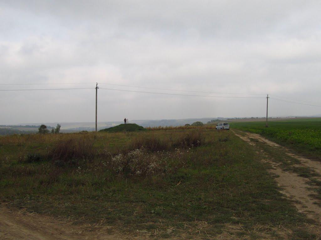 Панасівка з panoramio.com - Панасівка