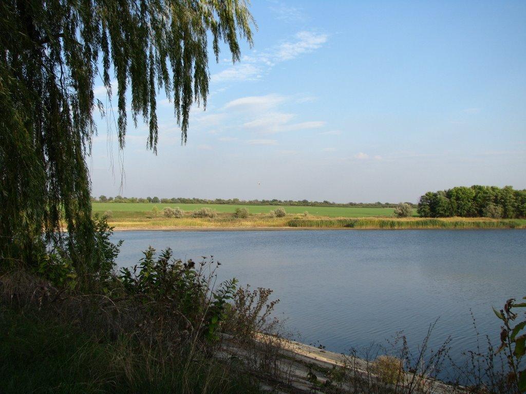 Брагинівка з panoramio.com - Залізничне