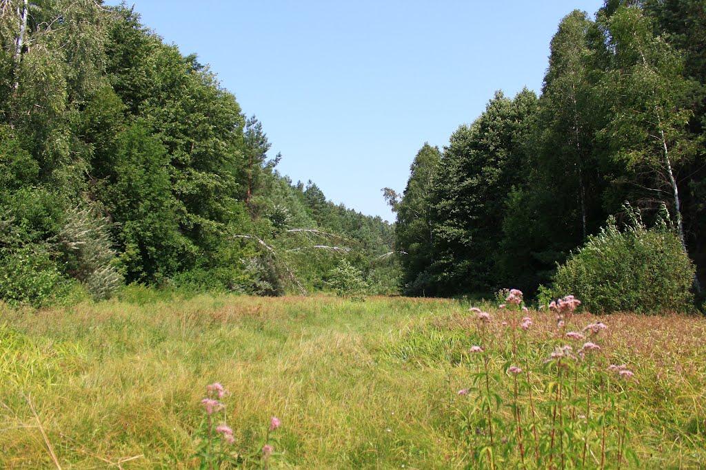 Збраньки з panoramio.com - Збраньки