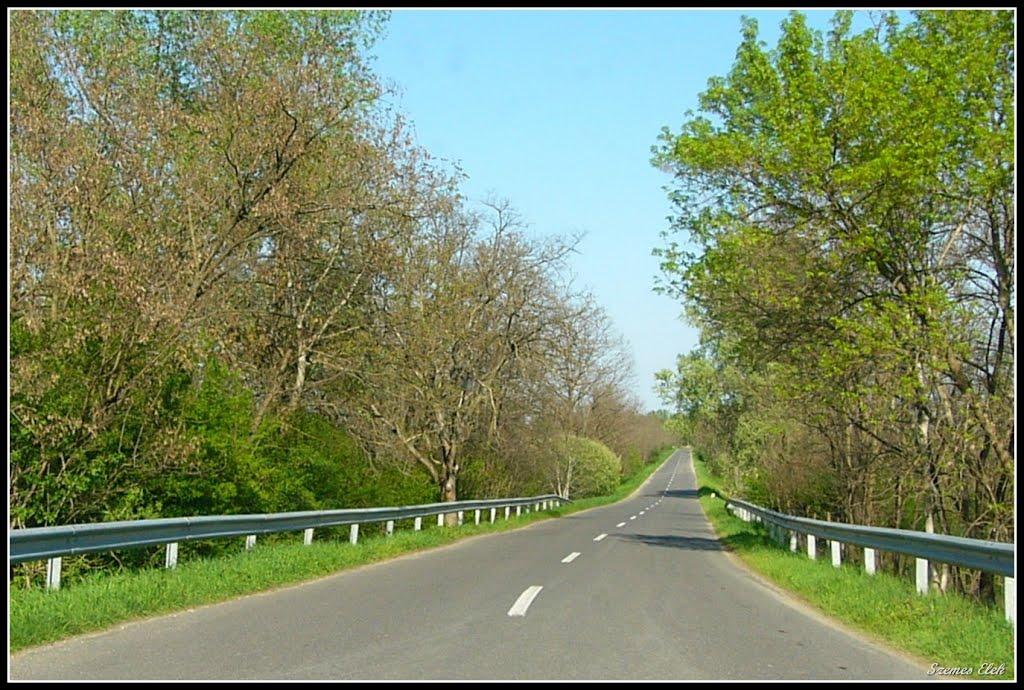 Галабор з panoramio.com - Galabor