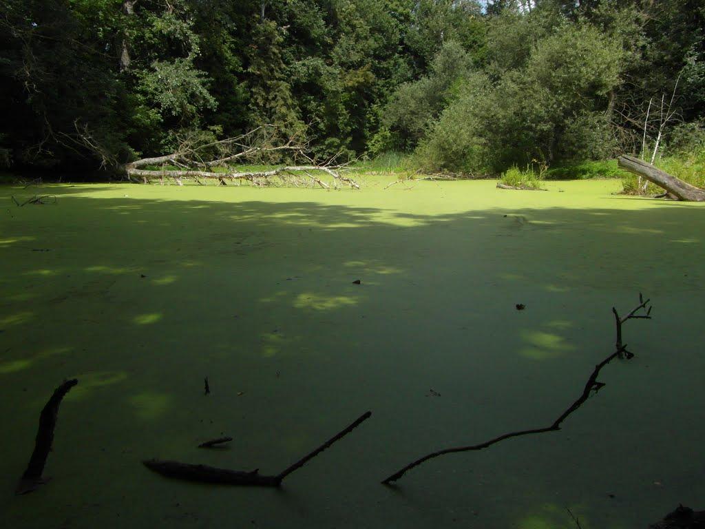 Есхар з panoramio.com - Эсхар