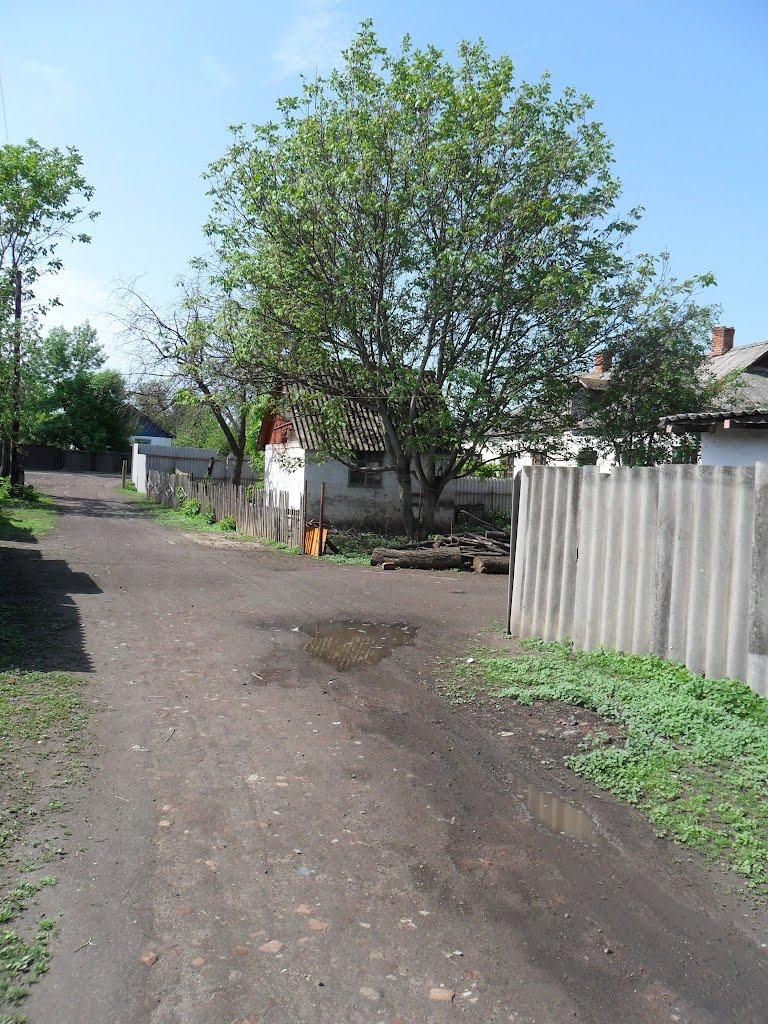 Веселий Гай з panoramio.com - Веселий Гай