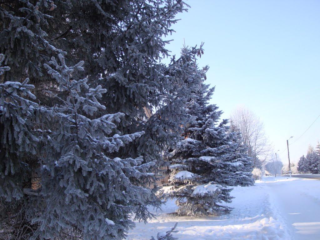 Машівка з panoramio.com - Машівка