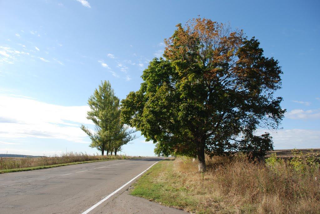 Балаклія з panoramio.com - Балаклея
