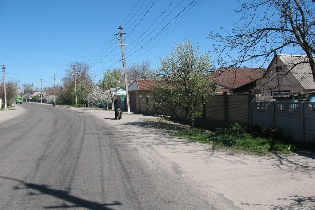 Горянівське з panoramio.com - Горяновское