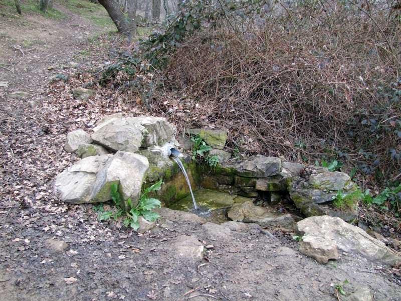 Щебетовка з panoramio.com (ч.2) - Щебетовка