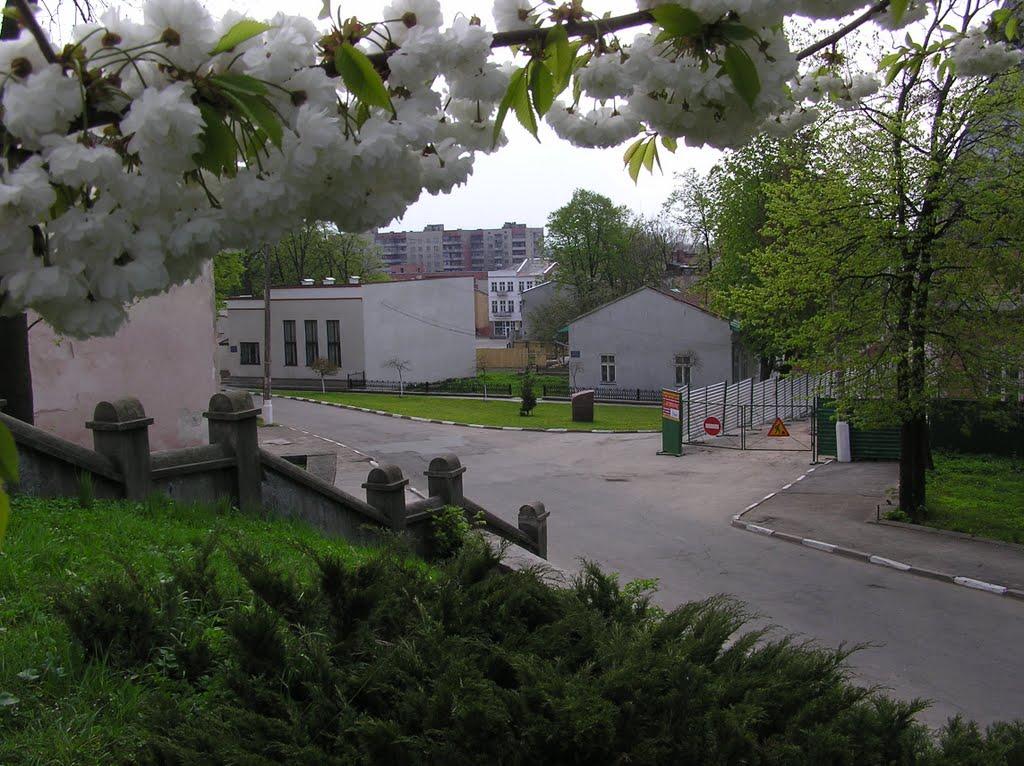 Калуш з panoramio.com (ч.2) - Калуш