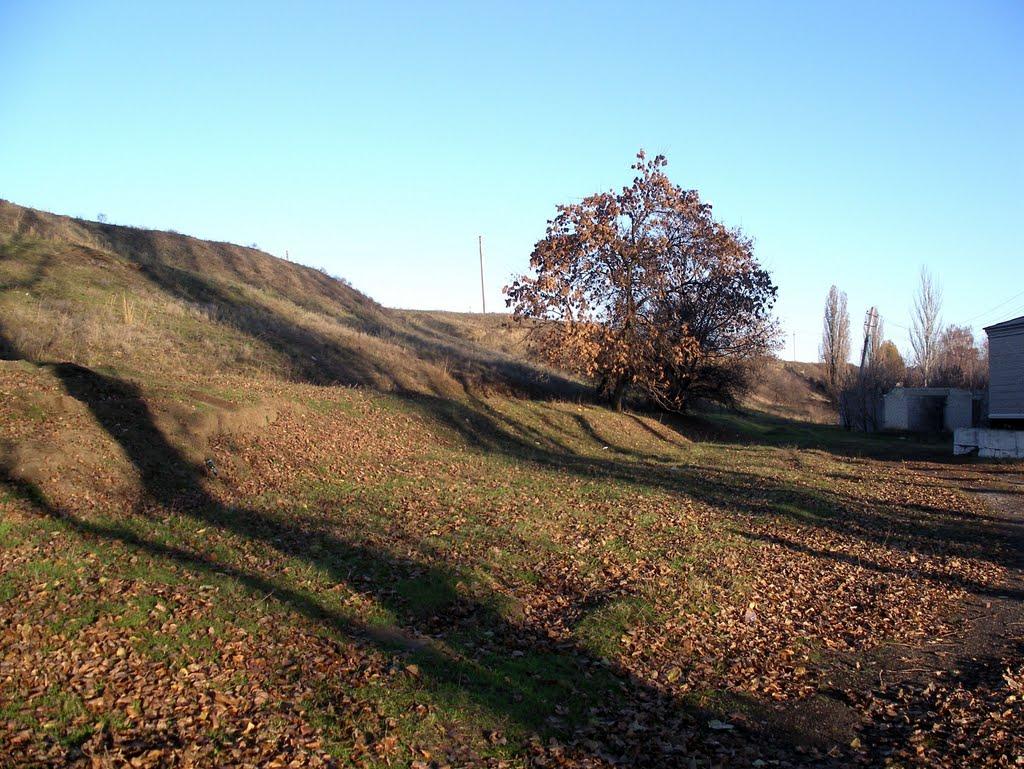 Селезнівка з panoramio.com - Селезневка