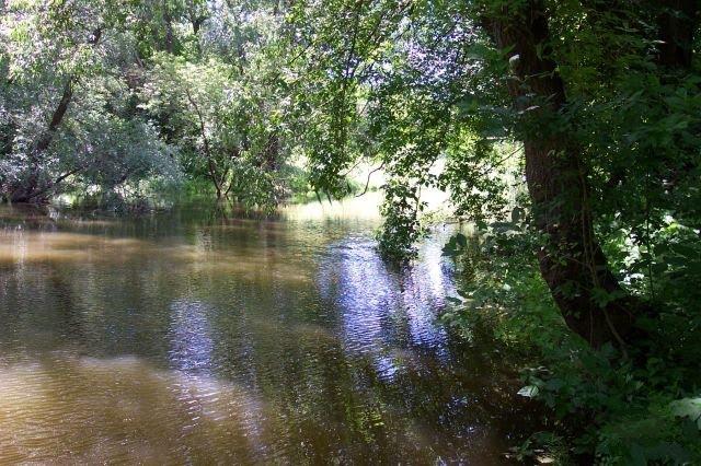 Лисянка з panoramio.com - Лисянка