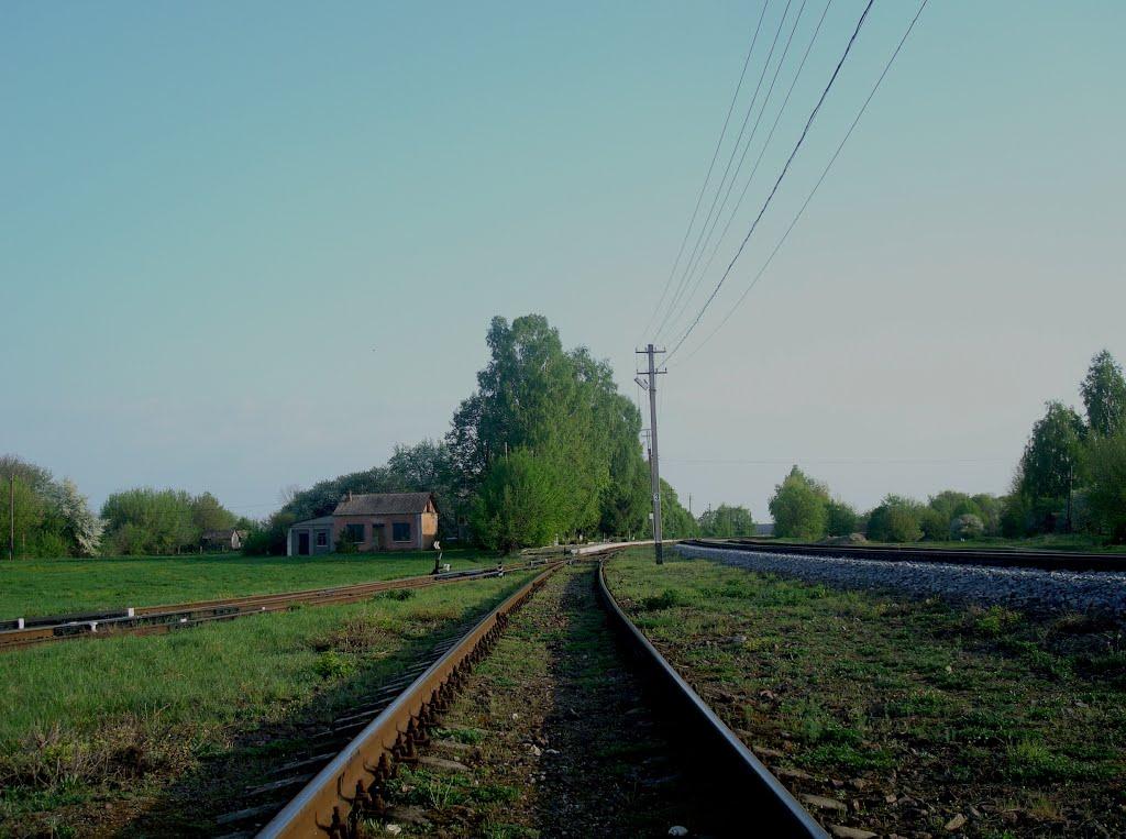 Чотирбоки з panoramio.com - Чотирбоки