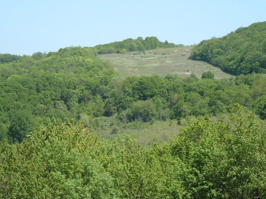 Путилівка з panoramio.com - Путиловка