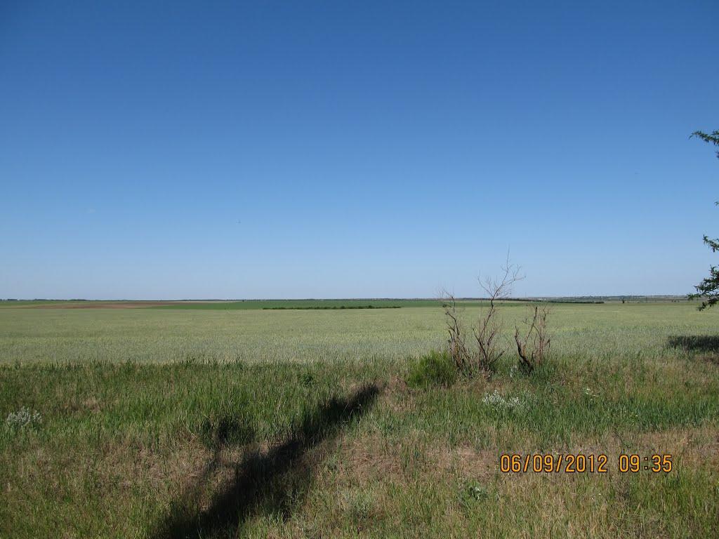 Тимашівка з panoramio.com - Тимашовка