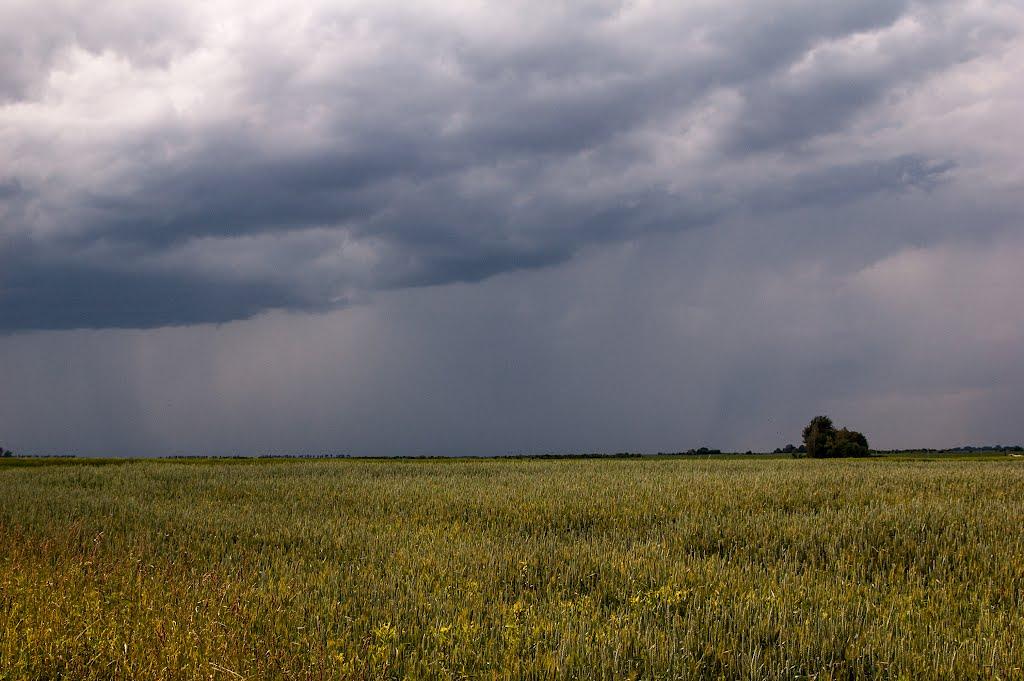 Головниця з panoramio.com - Головниця