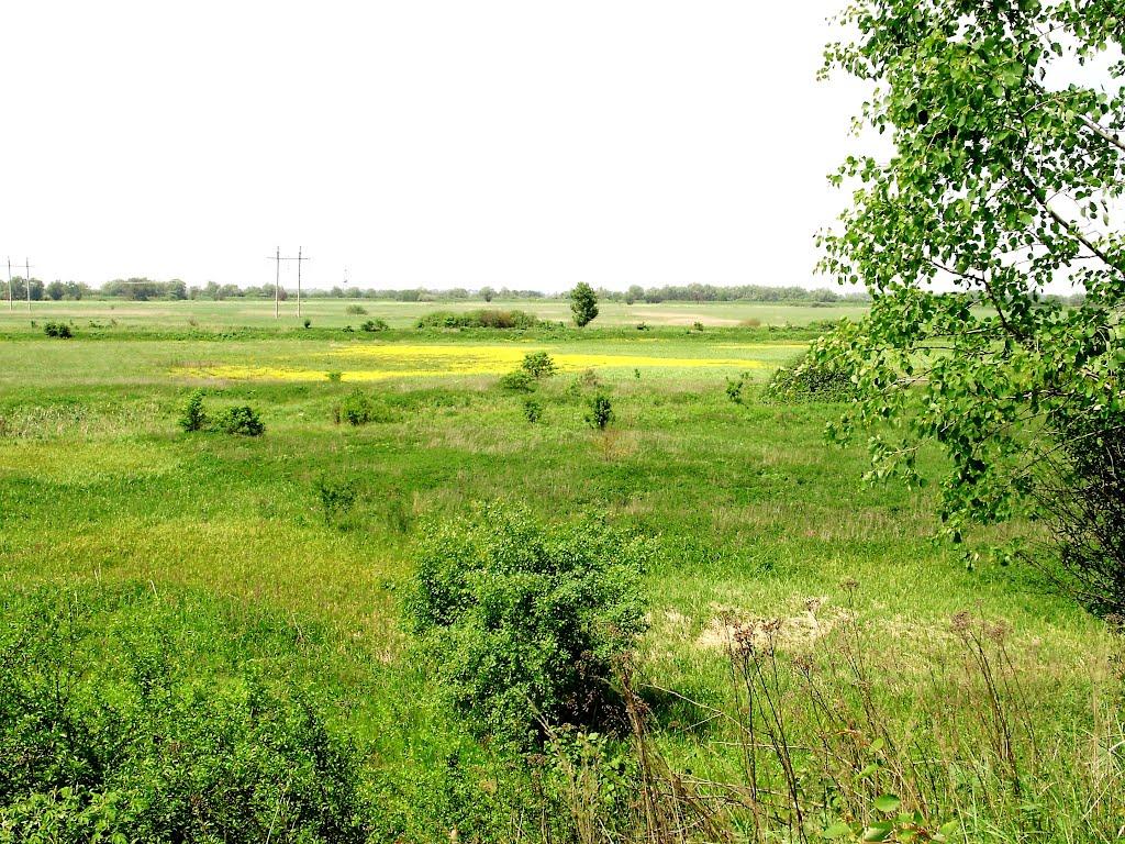 Липиці з panoramio.com - Липиці