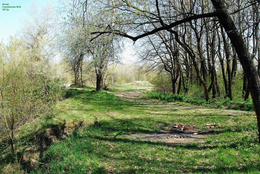 Приліпка з panoramio.com - Приліпка
