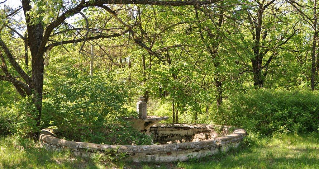 Сорокове з panoramio.com - Сороково