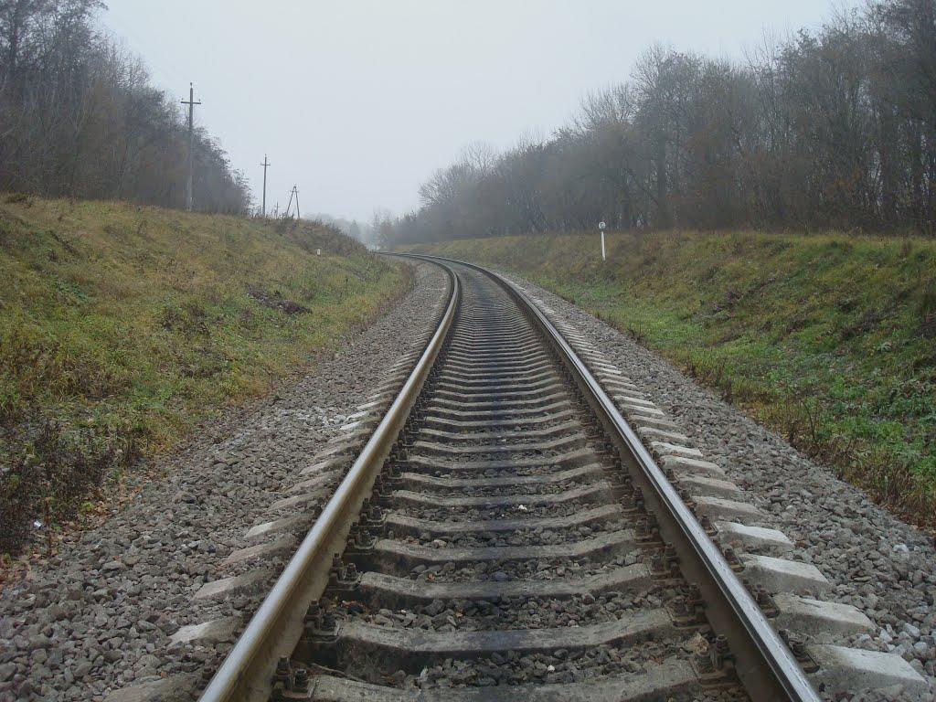 Лошківці з panoramio.com - Лошківці