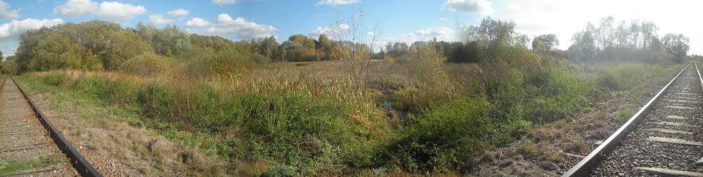 Плетенівка з panoramio.com - Pletenivka