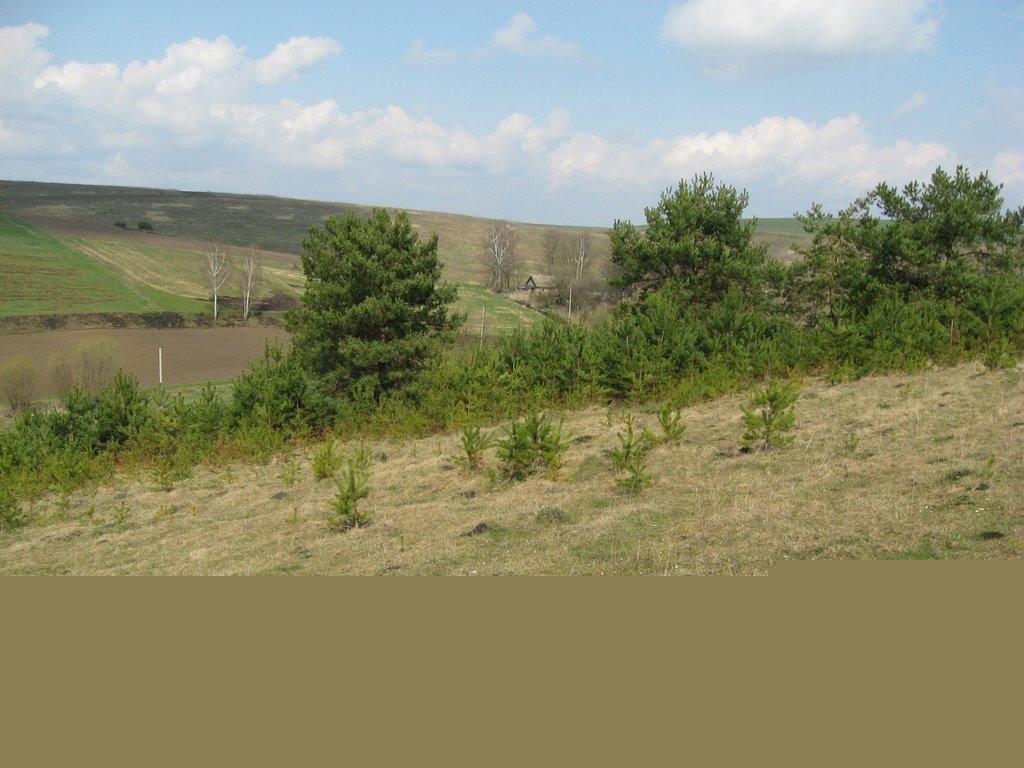 Грузьке з panoramio.com - Грузьке