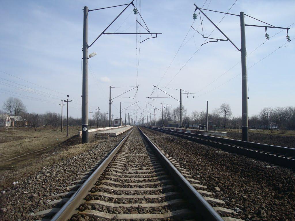 Радівці з panoramio.com - Радовцы