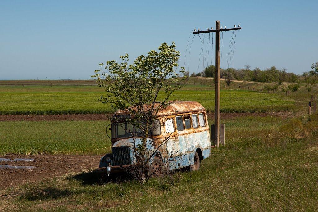 Останіне з panoramio.com - Останіне