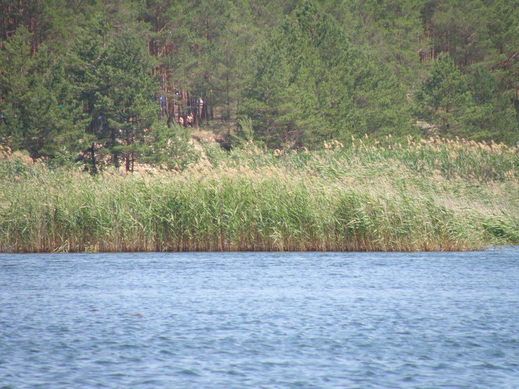 Пришиб з panoramio.com - Пришиб