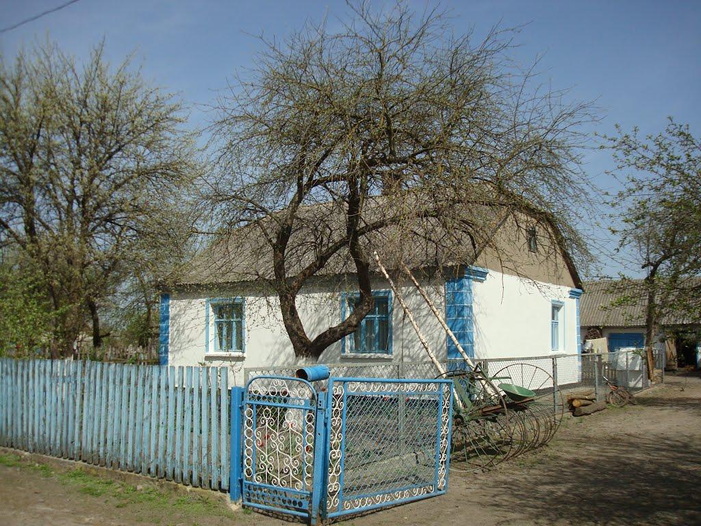 Дроздні з panoramio.com - Дроздні