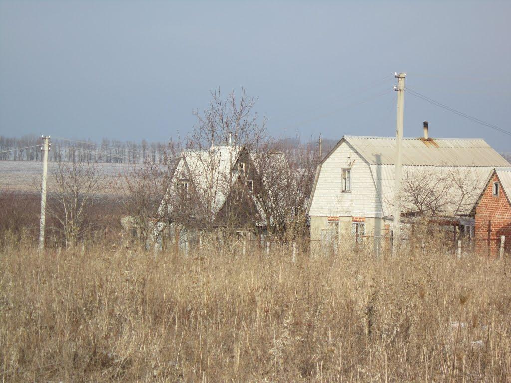 Висока Яруга з panoramio.com - Висока Яруга