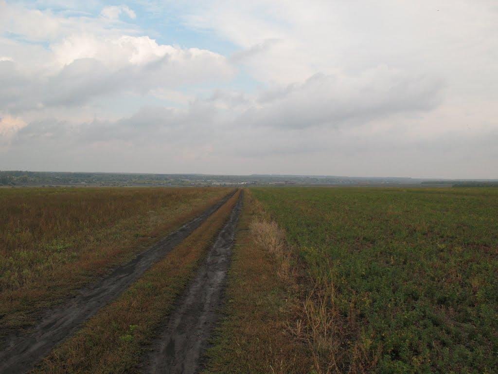 Шевелівка з panoramio.com - Shevelivka