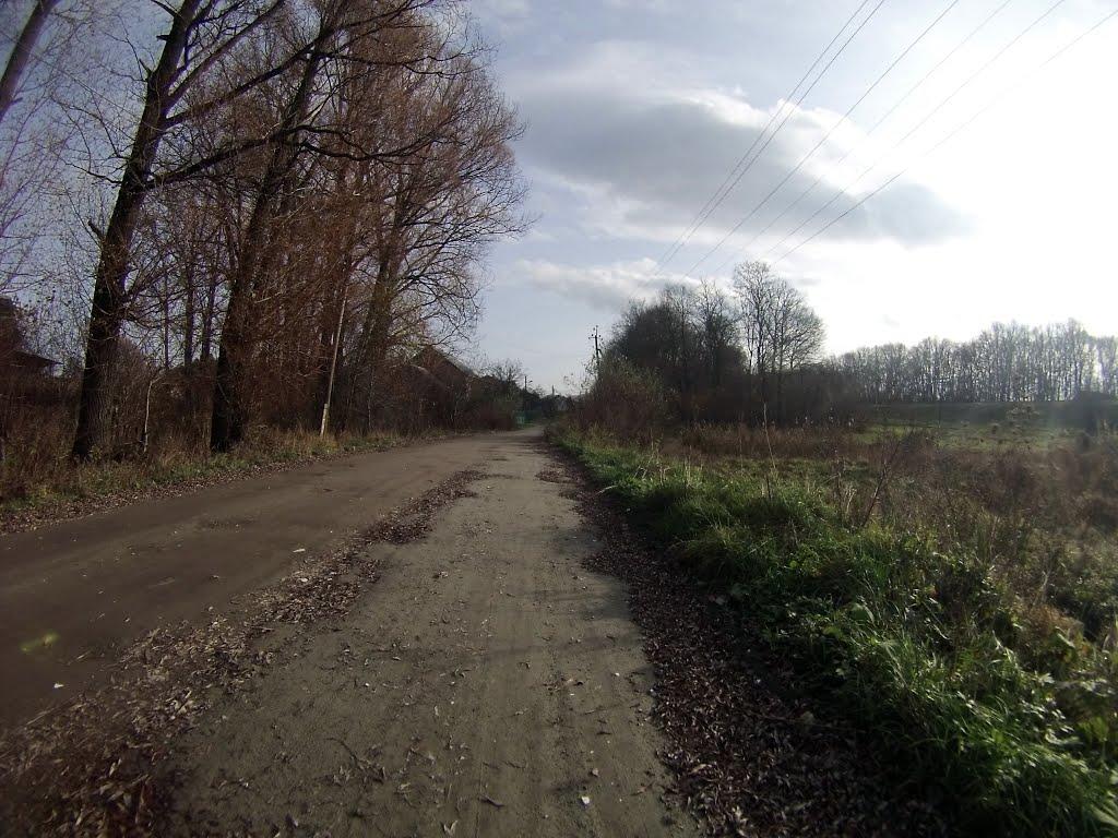 Новоград-Волинський з panoramio.com (ч.3) - Новоград-Волинський