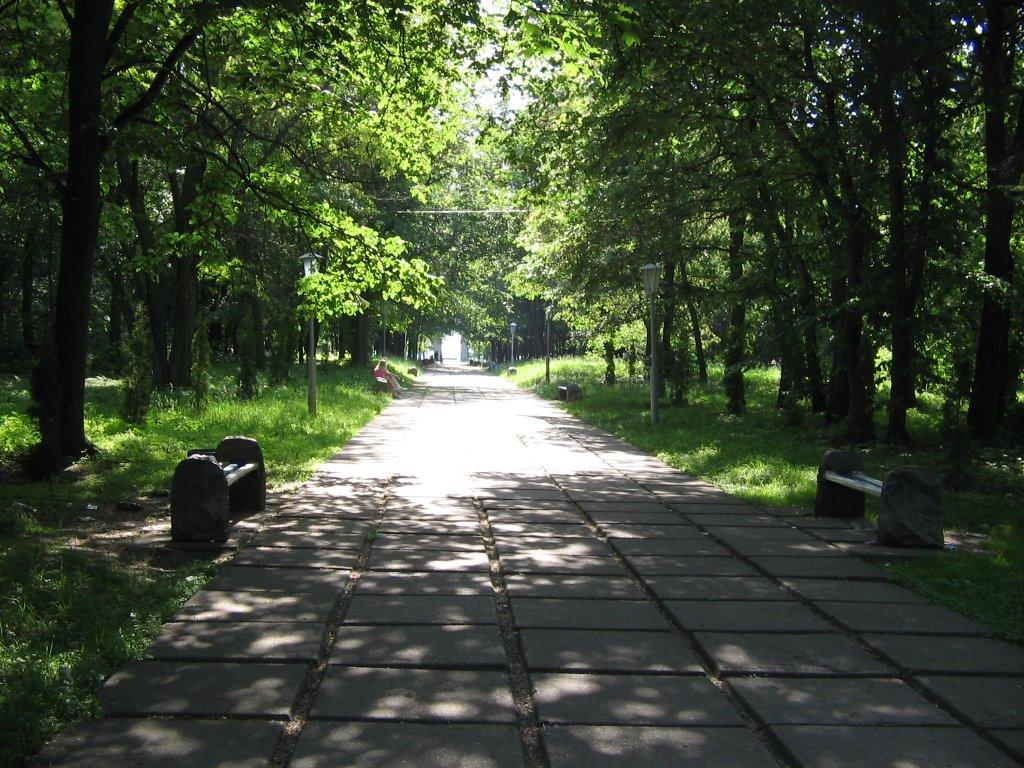 Засупоївка з panoramio.com - Засупоївка