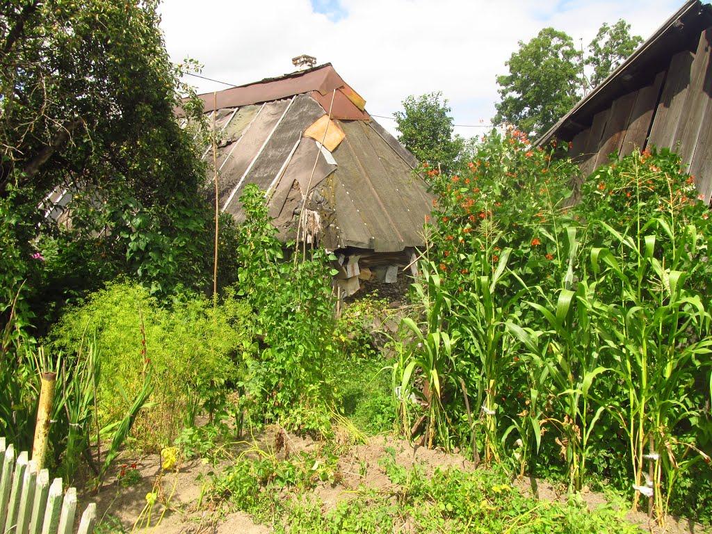 Солотвин з panoramio.com - Solotvyn