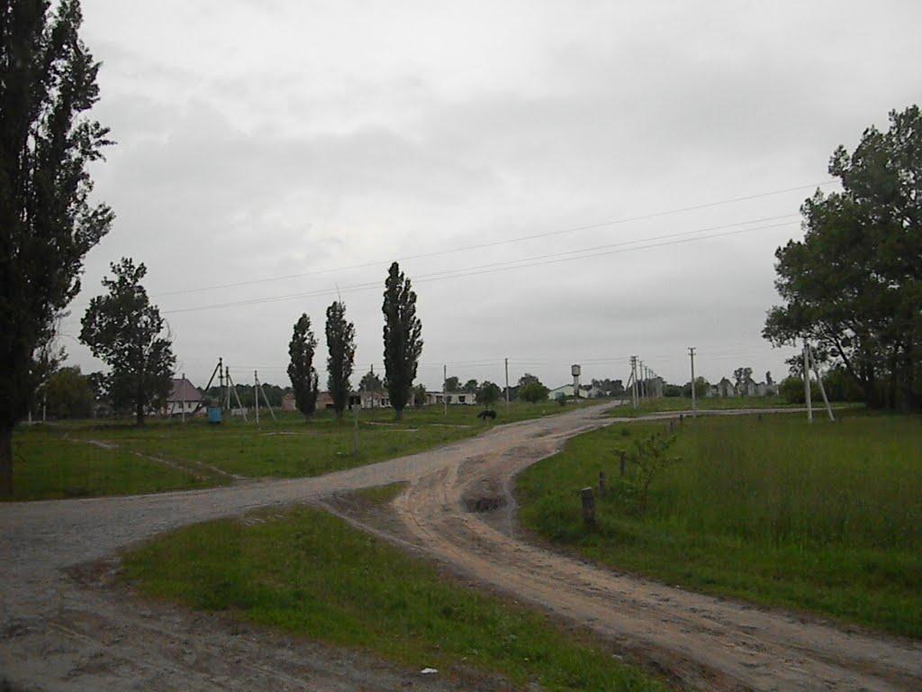 Тріскині з panoramio.com - Тріскині