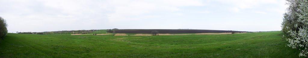 Нововасилівка з panoramio.com - Нововасилівка