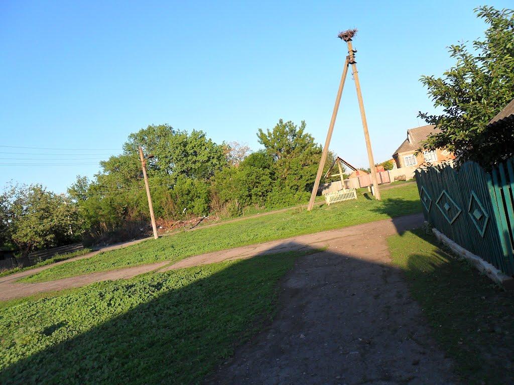 Веселий Гай з panoramio.com - Веселий Гай