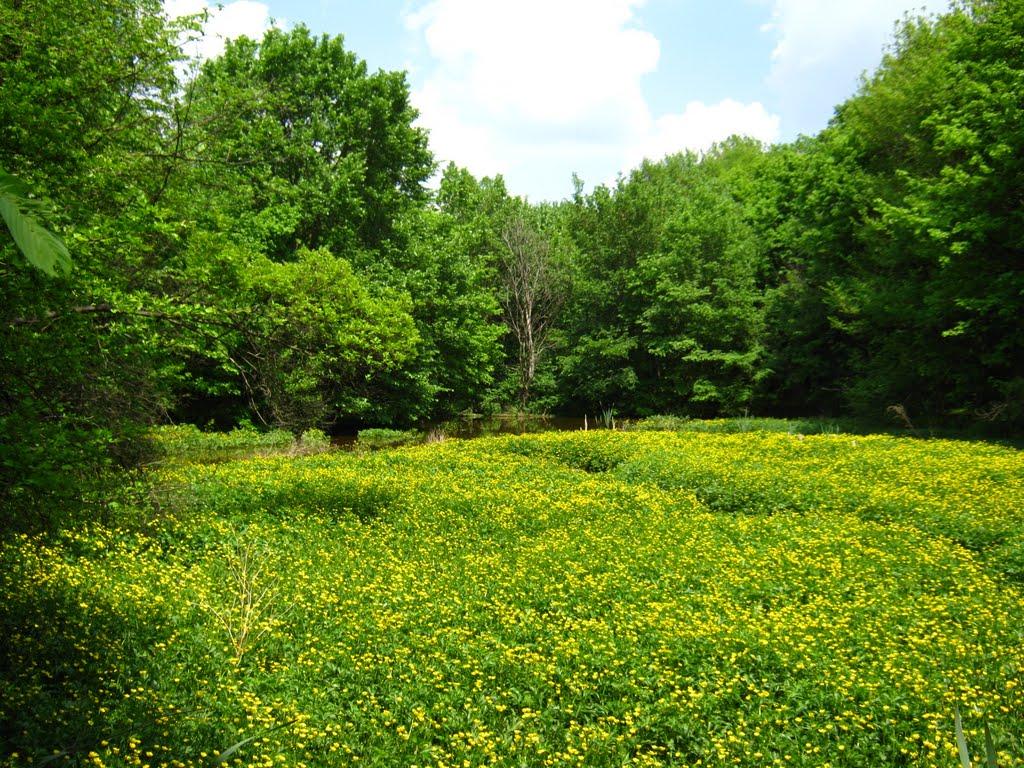 Буткевич з panoramio.com - Буткевич