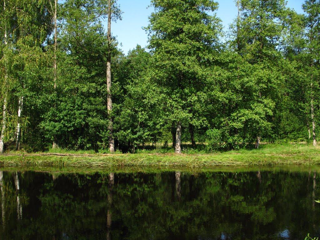 Горщик з panoramio.com - Горщик