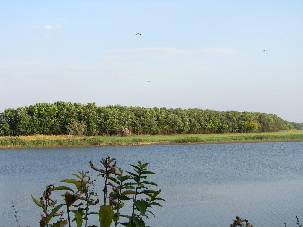 Брагинівка з panoramio.com - Залізничне