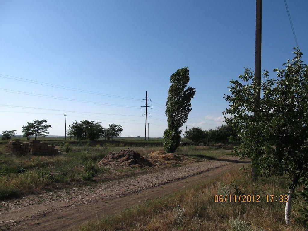 Тимашівка з panoramio.com - Тимашовка