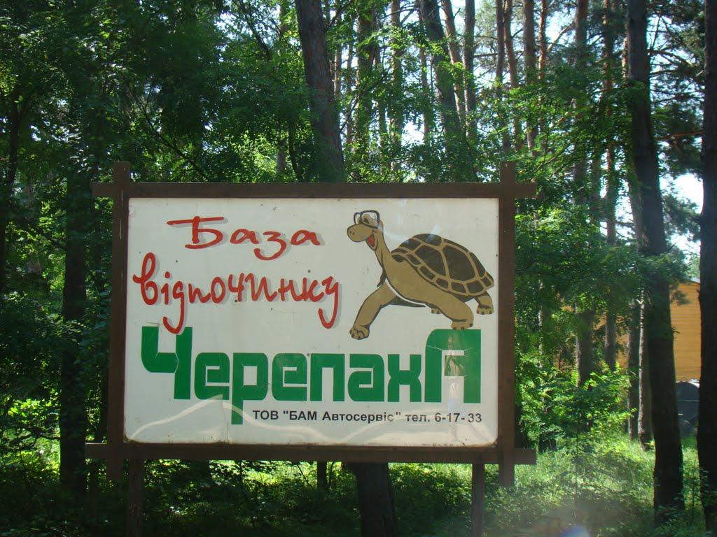 Степашки з panoramio.com - Степашки