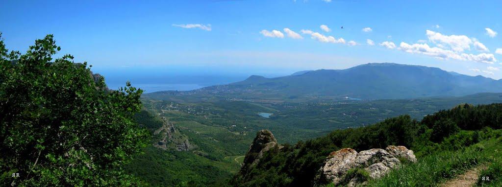 Лаванда з panoramio.com (ч.2) - Лаванда
